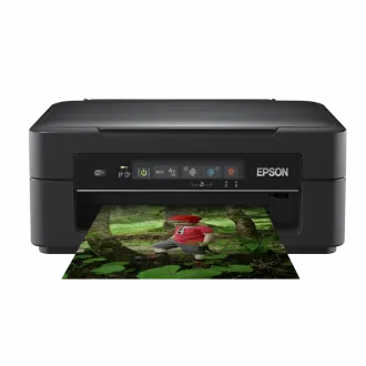 Epson XP-255 Expression Driver