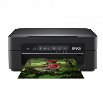 Epson XP-255 Expression Driver