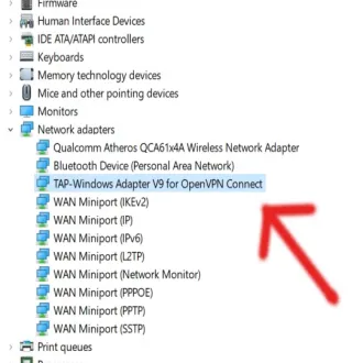 TAP Windows Adapter V9 (What it is and should you remove it?)