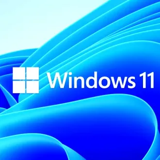 Installing Windows 11 on a computer that doesn't meet the requirements.