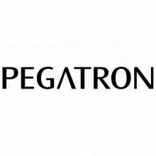 Pegatron Device Drivers