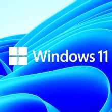 Windows 11 ARM64