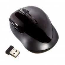 onn. Wireless Mouse G5L-BK