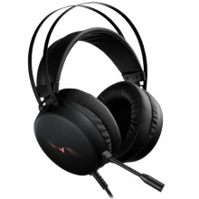 Rapoo VH310 USB Headset Driver