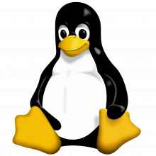 Linux Logo