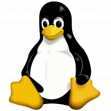 Linux Logo