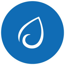 Synaptics Logo
