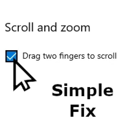 Fixing Two Finger Scolling on Windows 11/10