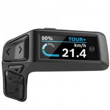 Bosch Purion 200 Display (BRC3800)