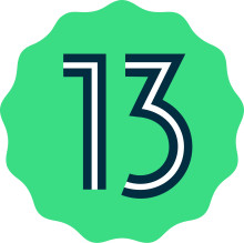Android 13 Logo
