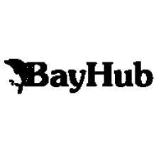 BayHub Technology Ltd