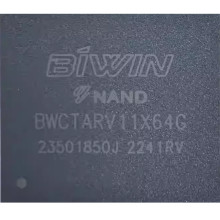 BIWIN BWCTARV11X64G Chipset