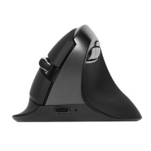 DELUX M618MINI Wireless Ergonomic Mouse