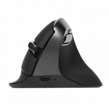 DELUX M618MINI Wireless Ergonomic Mouse