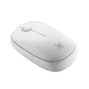 Blackweb Bluetooth Slim Wireless Mouse with 2.4GHz USB Nano Receiver