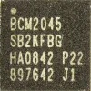 broadcom-bcm2045 Chipset