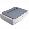 Epson Expression 1640XL Scanner Driver