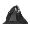 DELUX M618MINI Wireless Ergonomic Mouse